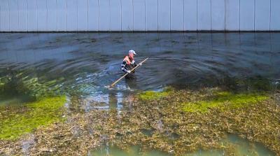 Прикрепленное изображение: dw900h500.jpg